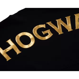 Kids Hogwarts Spirit Jersey $14.90 Clothing