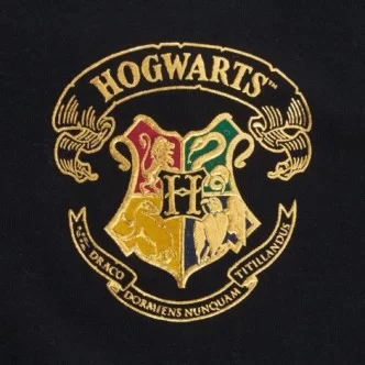 Kids Hogwarts Spirit Jersey $13.33 Kids Clothing
