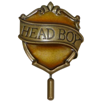 Hufflepuff Head Boy Pin $3.74 Jewellery