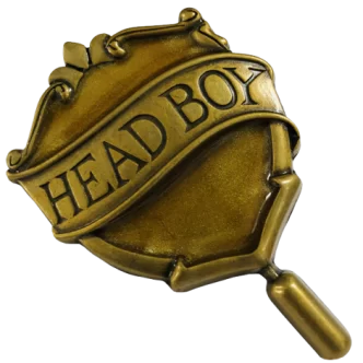 Hufflepuff Head Boy Pin $3.65 Collectables