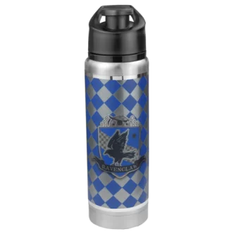 Ravenclaw Quidditch Stainless Bottle $8.80 Travel