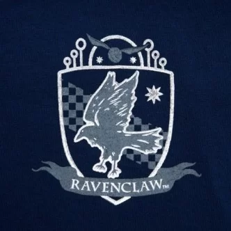 Ravenclaw Spirit Jersey $14.11 Clothing